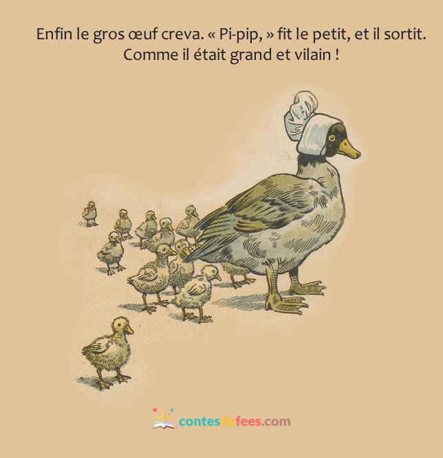 LE VILAIN PETIT CANARD – Lire c'est partir