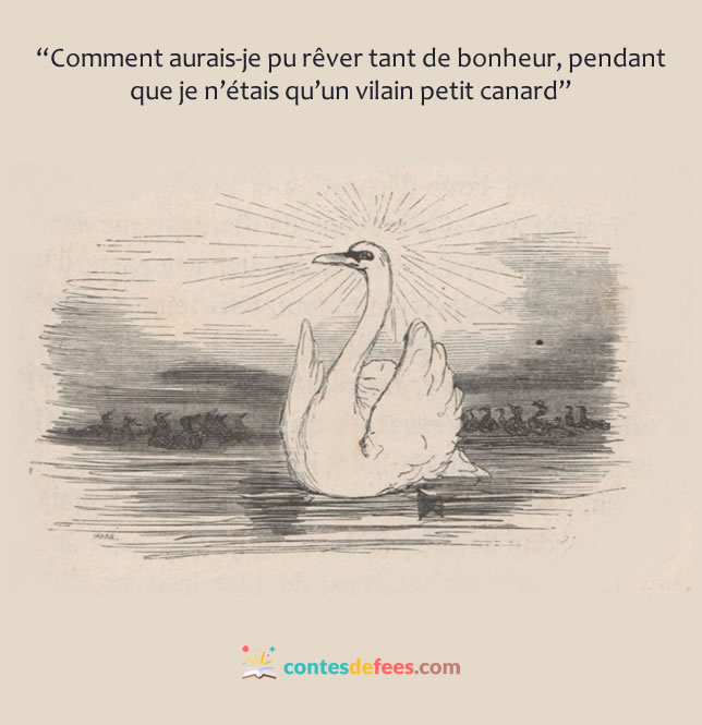 LE VILAIN PETIT CANARD – Lire c'est partir